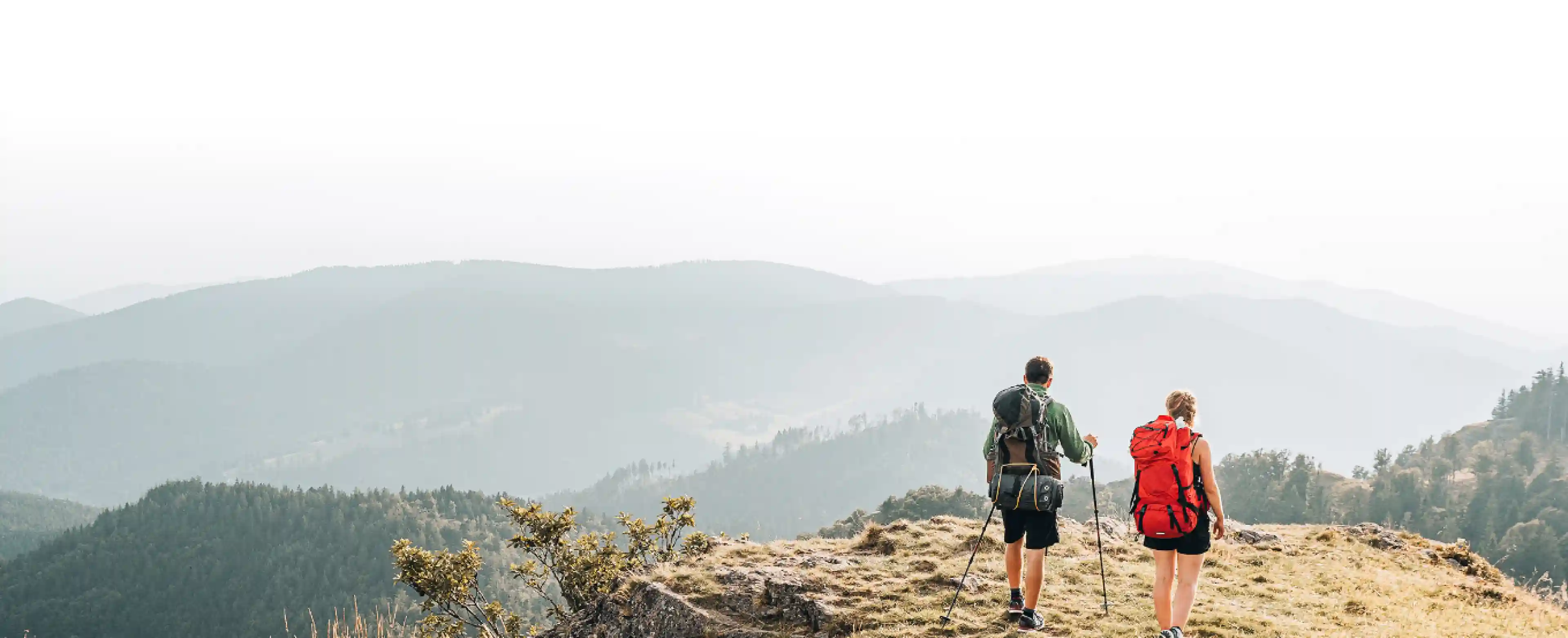 Randonneurs devant un paysage de montagnes