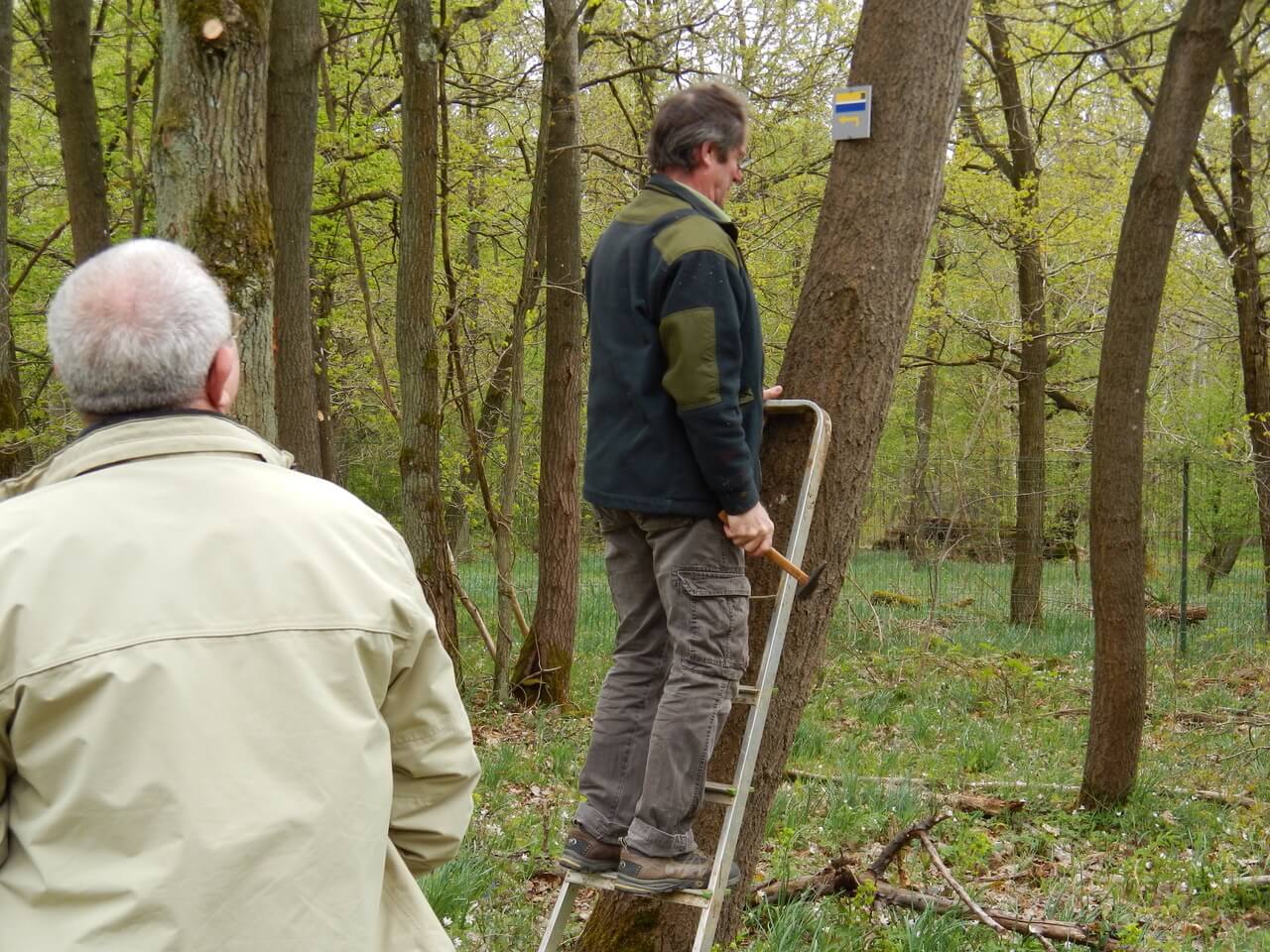 Balisage-Foret-de-Senart-.-Tanant ©Association Paris-Sens-Vézelay