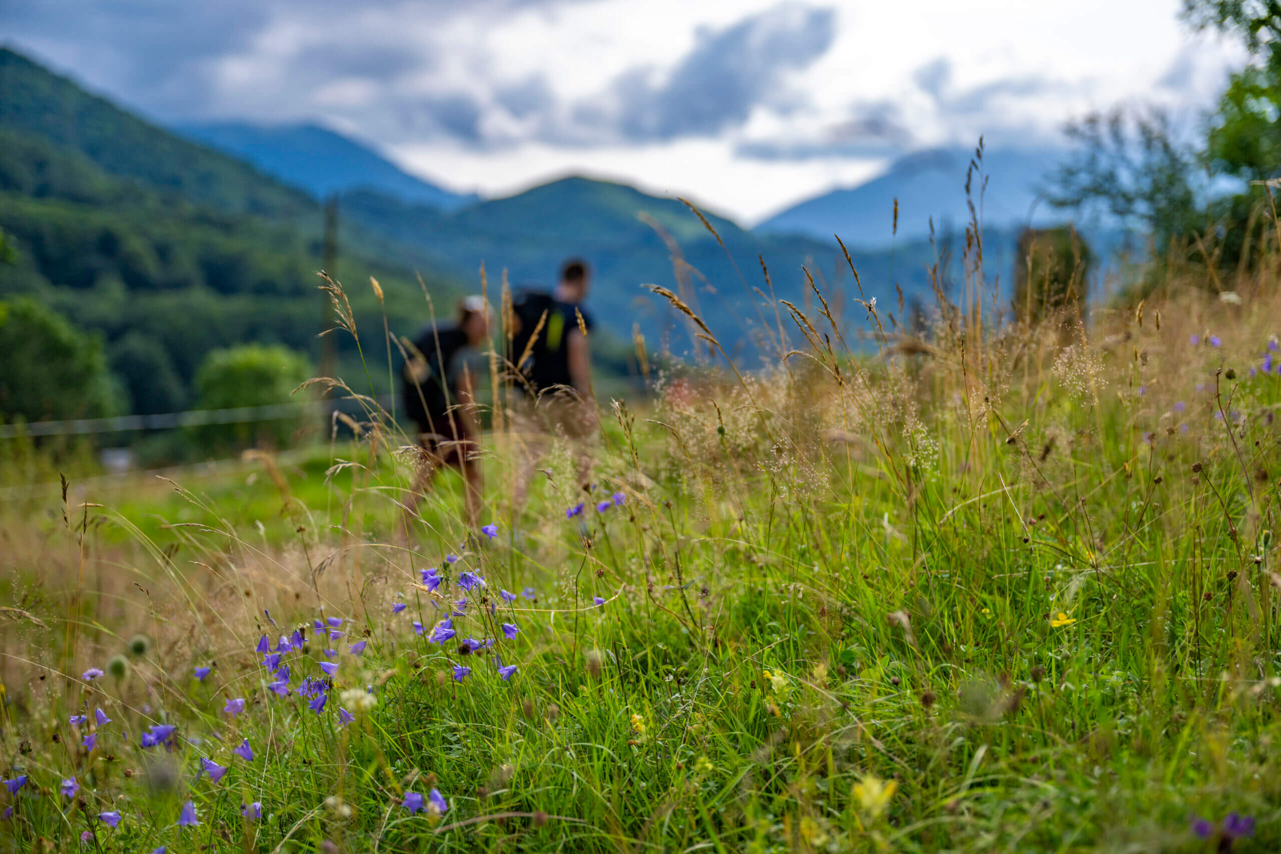 Vue depuis le Col de Portet d'Aspet ©JJGelbart