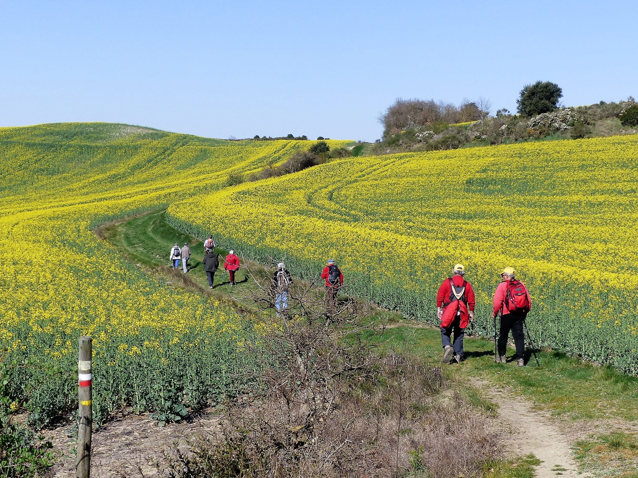 Pèlerinage vers Fanjeaux ©Amis St Jacques en Terre d'Aude