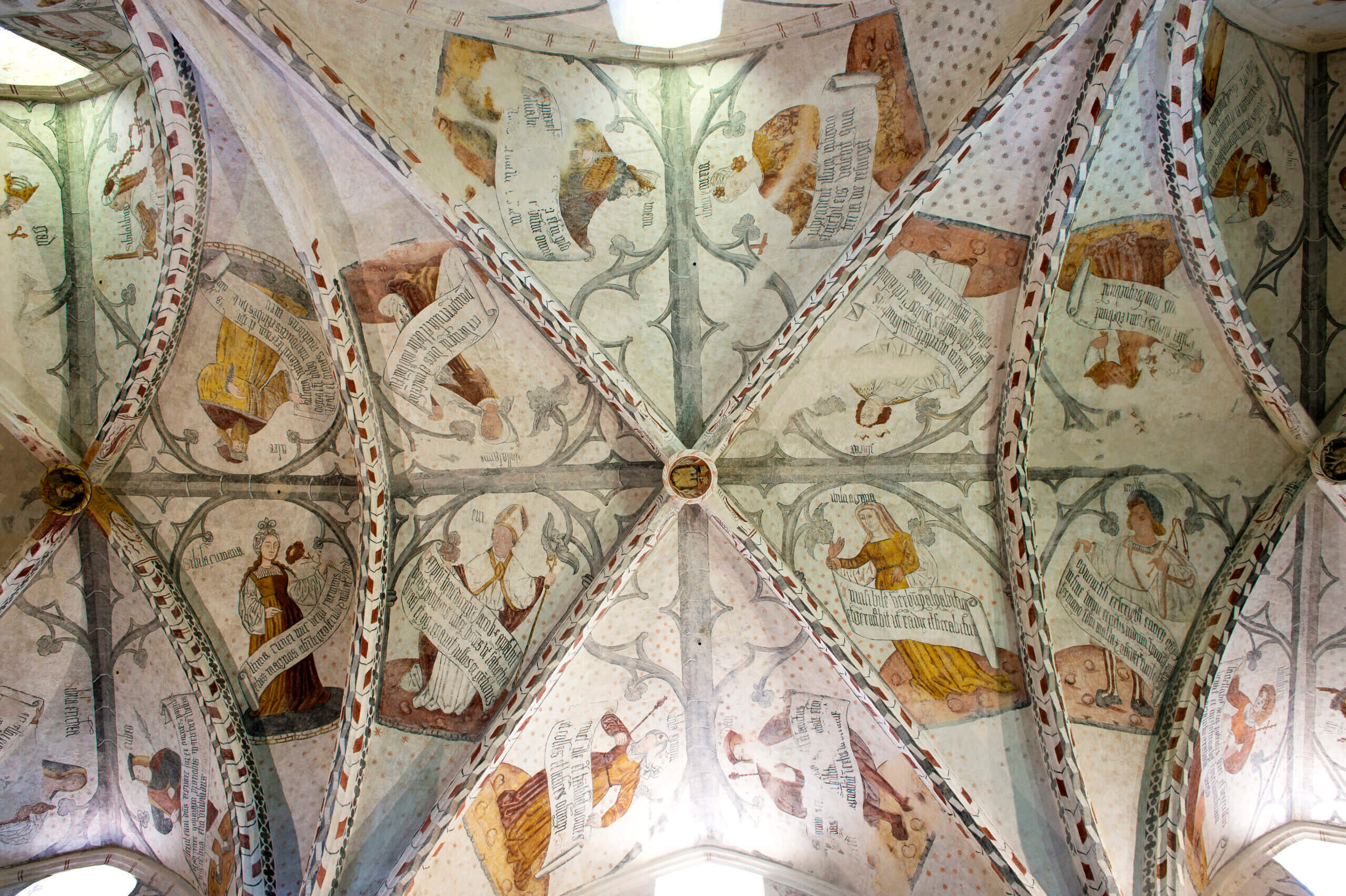 Voutes peintes Eglise Notre dame de la Sede