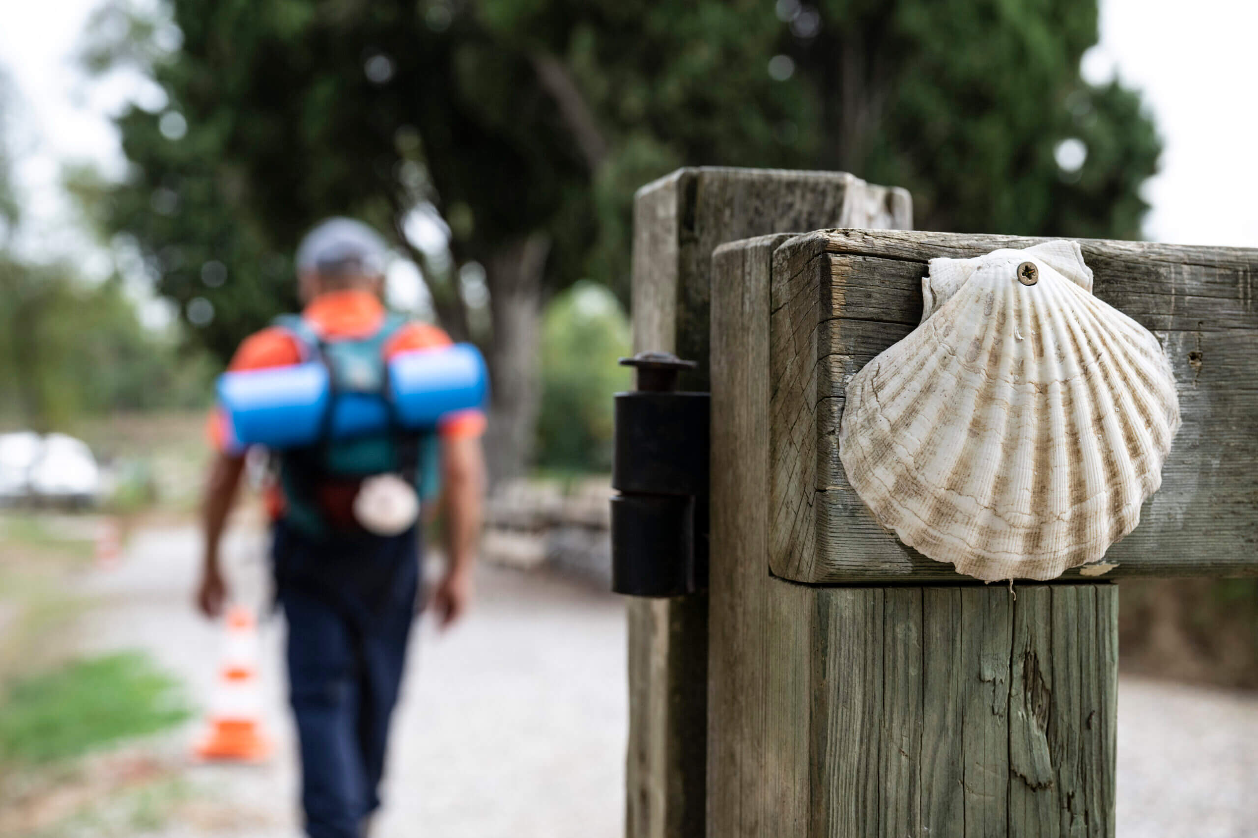 Entre Capestang et Carcassonne ©JJGelbart