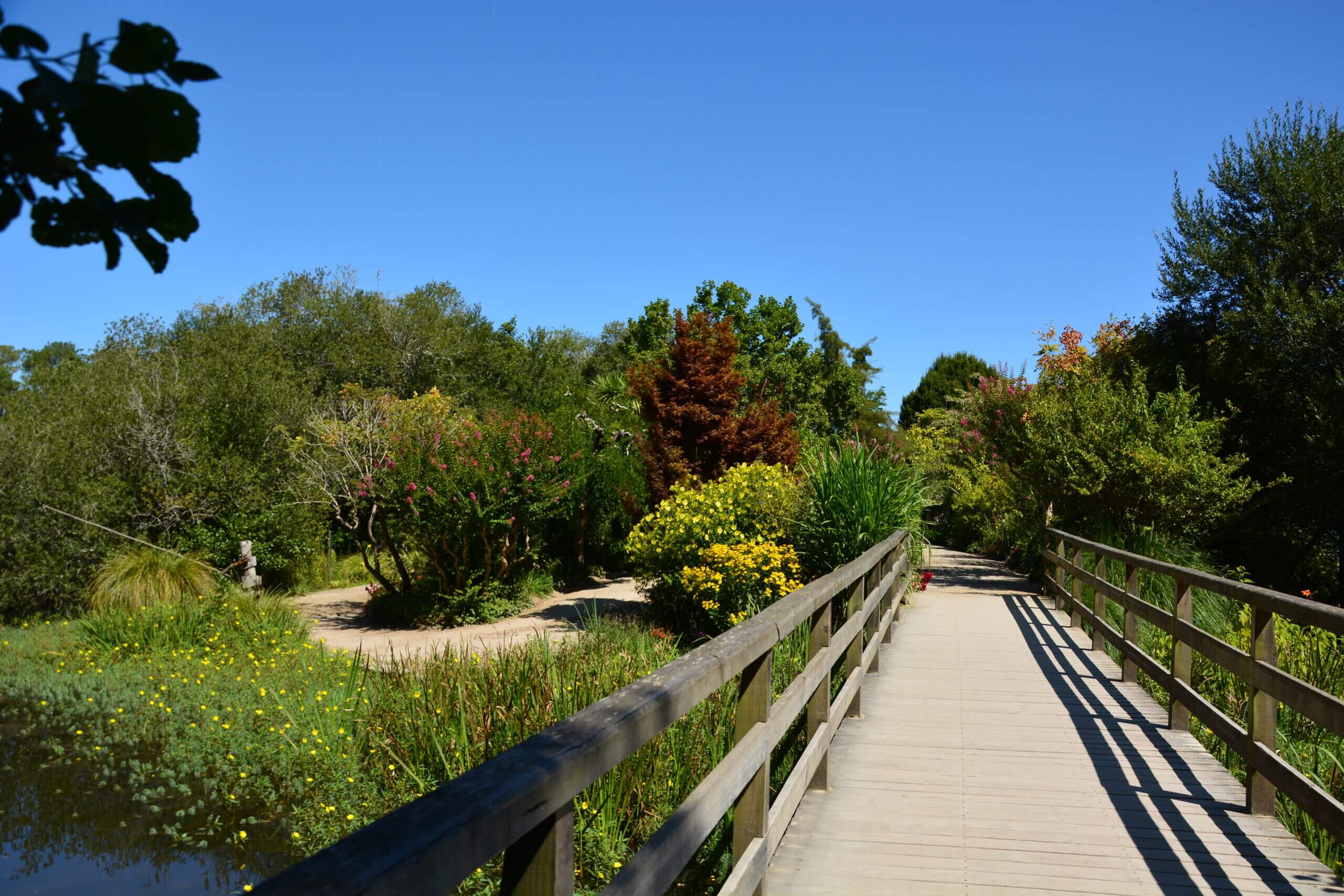 Mimizan - promenade fleurie ©Landes Attractivite