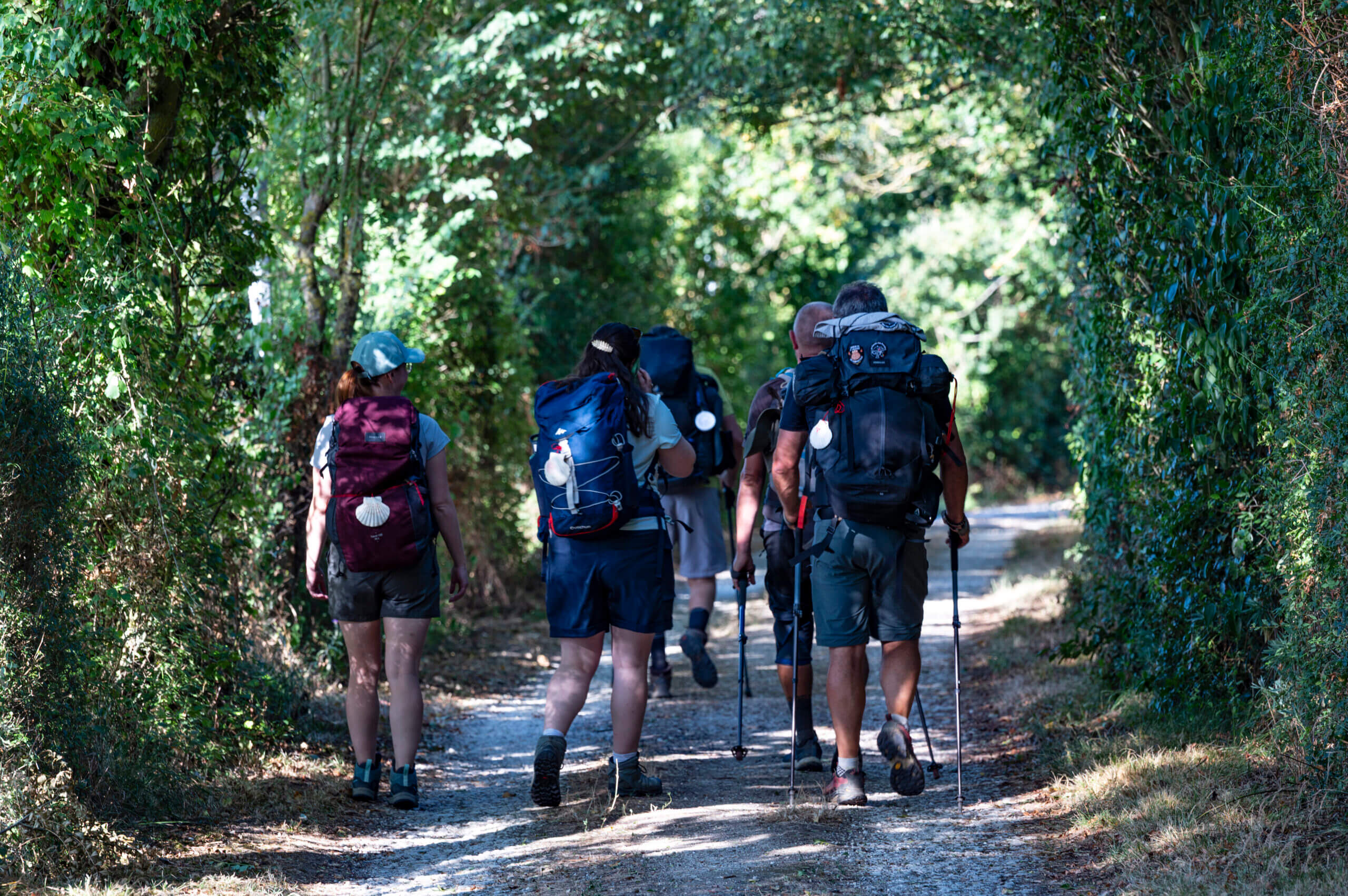 Sentier boisé -Lectoure ©AFCC JJGelbart